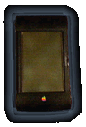 newton